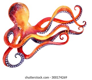 watercolor octopus. Hand painted illustration
