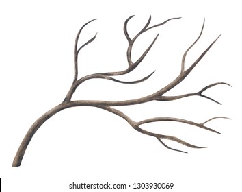 Hand Painted Tree Branches Images Stock Photos Vectors Shutterstock