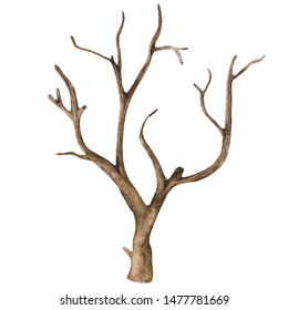 Watercolor Old Dry Bare Tree Isolated On White Background. Hand Painting On Paper