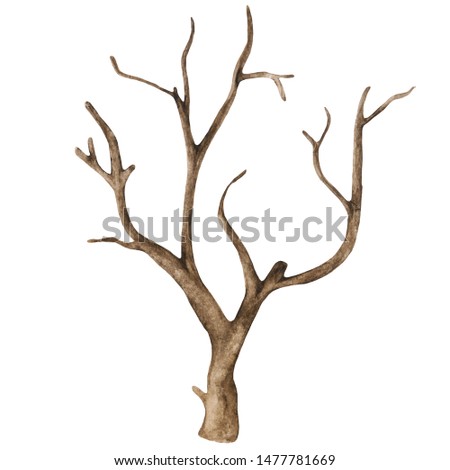 Watercolor old dry bare tree isolated on white background. Hand painting on paper