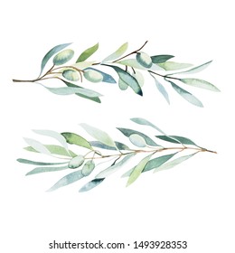 Olive Branch Watercolor Images, Stock Photos & Vectors | Shutterstock