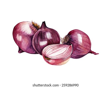 Watercolor Onion