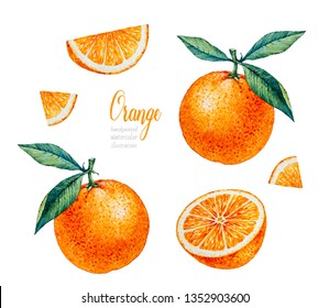 Watercolor Orange. Watercolor Botanical Illustration. Citrus Fruit. Orange Set. Slices Of Orange