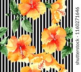 Watercolor orange naranja hibiscus flowers. Floral botanical flower. Seamless background pattern. Fabric wallpaper print texture. Aquarelle wildflower for background, texture, wrapper pattern.