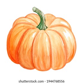 Watercolor Orange Pumpkin Isolated On White Background