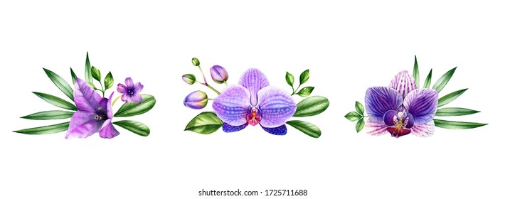 Orchid Painting Images Stock Photos Vectors Shutterstock