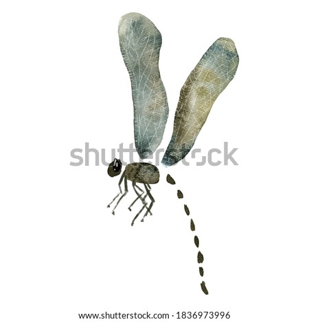 Watercolor oriental vintage dragonfly elements. Japanese insect. For design of cards, logo, packaging, fabrics, prints, posters.