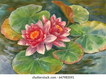 Watercolor Original Painting, Water Lily, Lotus.