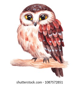 Watercolor owl. Hand drawn illustration.
