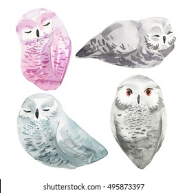 Watercolor owl set  painting. Hand painted realistic illustration isolated on white background. Realistic forestry bird art.