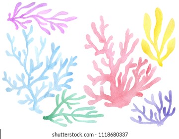 Watercolor painted coral isolated on wite