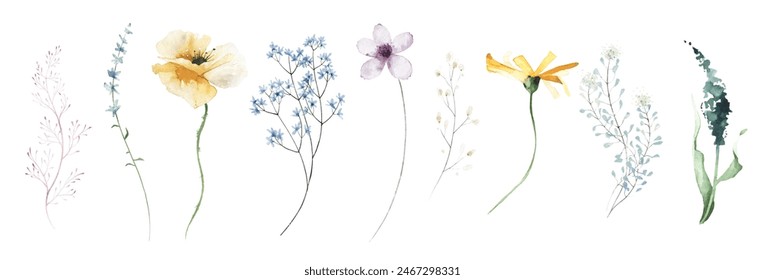 Conjunto Clipart floral pintado