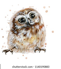 Watercolor painted little cute owl.