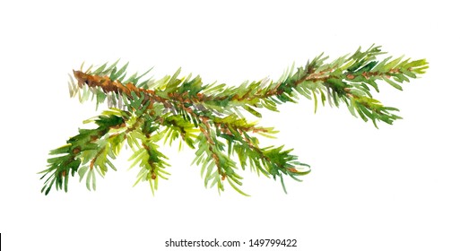 Watercolor Painted Pine Branch