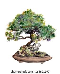 Download Chinese Bonsai Tree Painting Photos