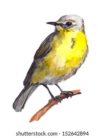 Watercolor Painted Yellow Bird