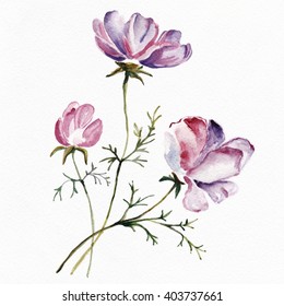 Watercolor Transparent Floral Set Isolated On Stock Illustration ...