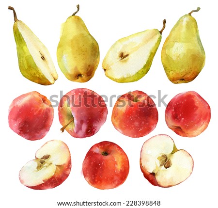 Watercolor painting of apples and pears full and halves isolated on white background