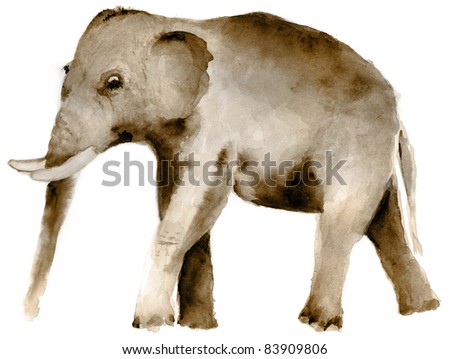 watercolor painting of asian elephant, isolated on white background