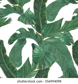 Watercolor Painting Banana Leaves Seamless Pattern