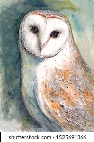 Watercolor Painting Of Beautiful Portrait Of Barn Owl, Illustration