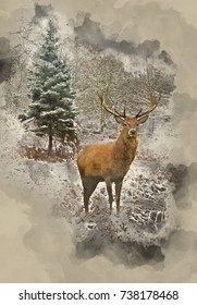 Watercolor painting of Beautiful red deer stag in snow covered Winter forest landscape