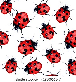 Watercolor Painting Of Beautiful Red Lady Bug Art Illustration