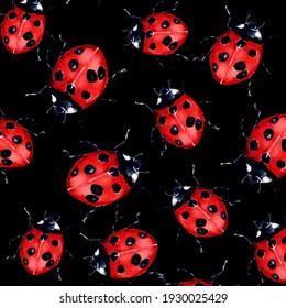 Watercolor Painting Of Beautiful Red Lady Bug Art Illustration