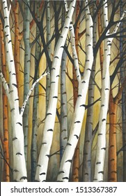 Watercolor painting of birch forest. Trunks of trees. View to the forest. White bark of birch trees. Birch trees paint.