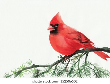 Watercolor painting of cardinal bird sitting on a branch