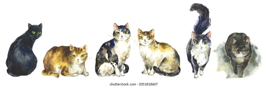 Watercolor painting cats  Tabby  Black hair  long hair cats are isolated white background  Cute  happy  warm cats illustration! Poses include standing straight  walking towards you   sitting 