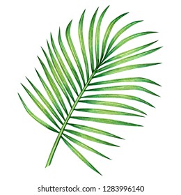 Watercolor Painting Coconut,palm Leaf,green Leaves Isolated On White Background.Watercolor Hand Painted Illustration Tropical Exotic Leaf For Wallpaper Vintage Hawaii Style Pattern.With Clipping Path.