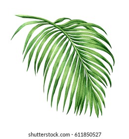 Palm Leaf Paint Images Stock Photos Vectors Shutterstock
