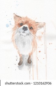 Watercolor Painting Of A Cute Little Fox