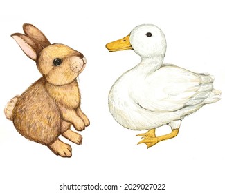 1,309 Set Duck Watercolor Images, Stock Photos & Vectors | Shutterstock