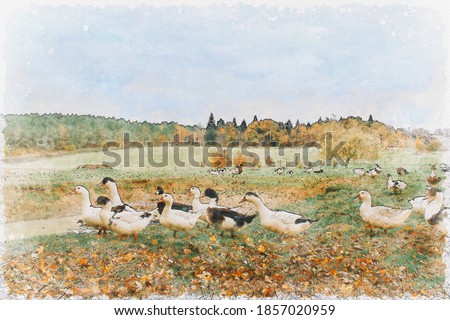 Watercolor painting of ducks with autumn nature background. 