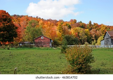 Watercolor painting of fall in the country - Shutterstock ID 463814702