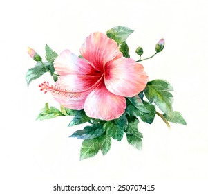 1,275,967 Water color flowers Images, Stock Photos & Vectors | Shutterstock