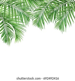 Watercolor painting frame coconut,palm leaf,green leaves isolated on white background.Watercolor hand painted illustration tropical exotic leaf for wallpaper,backdrop,card,vintage Hawaii style pattern