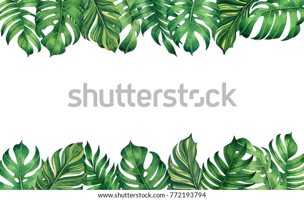 白い背景に水彩画の枠の緑の葉 ヤシの葉 水彩画の手描きのイラスト壁紙ビンテージハワイスタイル柄の熱帯の外来の葉 熱帯の葉の枠 のイラスト素材