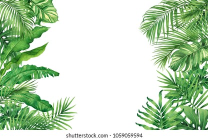 Watercolor painting frame tropical leaves coconut,palm,green leaf isolated on white background.Watercolor hand drawn illustration tropical exotic leaf for wallpaper,backdrop,card,vintage Hawaii style.