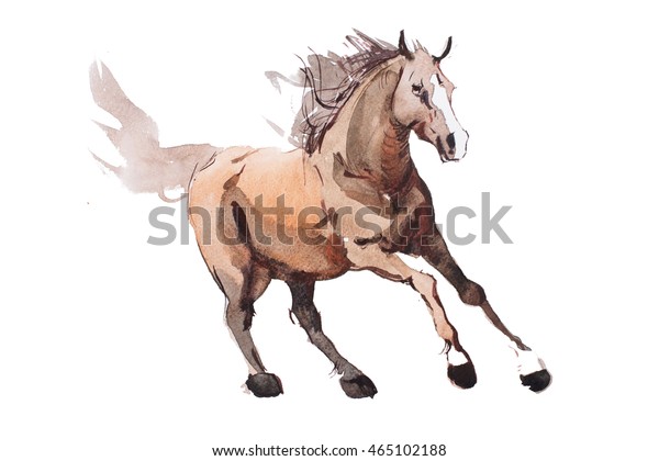 駆け馬の水彩画 走り馬の水彩画 のイラスト素材