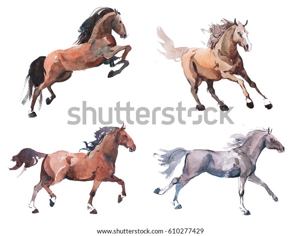 駆け馬の水彩画 走るマスタングアコール のイラスト素材
