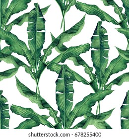 Watercolor Painting Green,banana Leaves Seamless Pattern On White Background.Watercolor Hand Paint Illustration Palm,banana Leaf,tree Tropical Exotic Leaf For Wallpaper Vintage Hawaii Style Pattern.