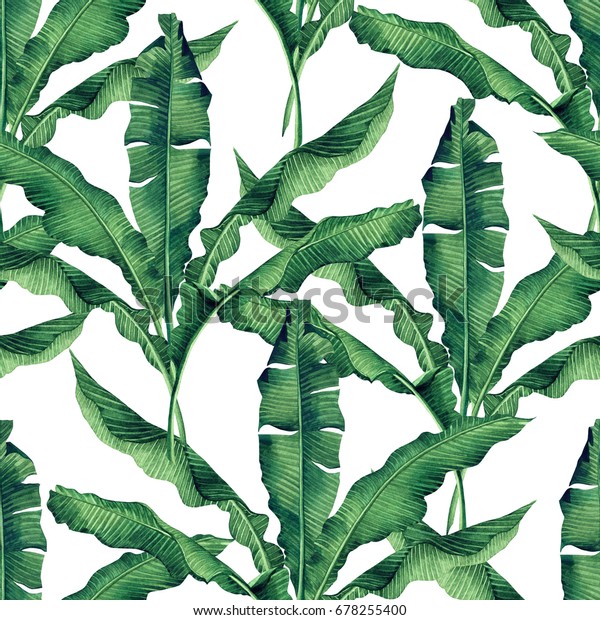 白い背景に水彩画緑 バナナの葉シームレスな模様 水彩画手描きのイラストパーム バナナの葉 壁紙ビンテージハワイの木の熱帯エキゾチックな葉 のイラスト素材 678255400