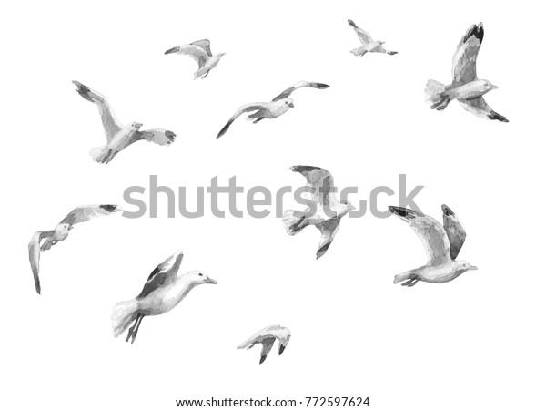 水彩画 手描きのアニマリズムイラスト カモメの群れ カモメの飛翔運動のアクレルスケッチ 白い背景に白い鳥 のイラスト素材