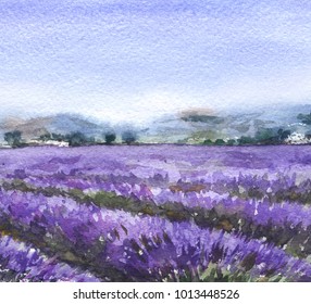 Watercolor Painting.  Hand drawn nature scene with blooming lavender field. Rural landscape sketch.