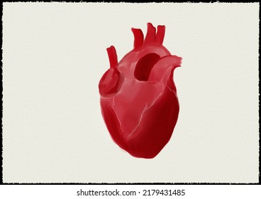 Watercolor Painting Of Human Heart For High Resolution Printing