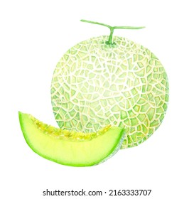 Watercolor Painting Illustration Of Cantaloupe Melon