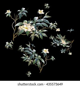 Botany Flower Paintings Black Background High Res Stock Images Shutterstock